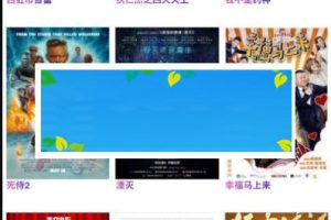 Դ˫ӰȫVIP APPԴ 弶+׿ƻ˫APP+̳_Դ
