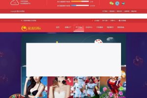 ˫淨վӪԴ+WAPֻӦ+޸20һ+ԽӲɼ+Ƶװ̳