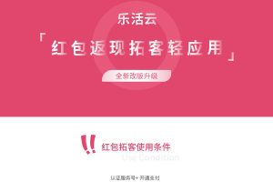ؿӦv2.9.6ƽ޸