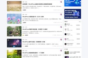 WordPress-ȷ7b2 v2.9.8 ư