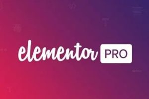 Elementor Pro 3.2.1+Elementor 3.1.4ƽ|ҳ϶ԶWordPress