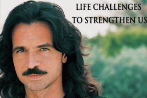 ר/YANNI5CD(ȫ)Ƶϼٶء