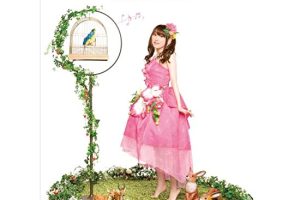 [BDձݳ][ 椫 Tamura Yukari – Love ? Live 2009 Dreamy Maple Crown][BDISO][45.8G][ٶ]