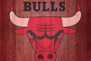 [2004][][NBAϵ:֥Ӹ繫ţ][1.65G][ٶ]