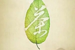 [2013][й½][,һƬҶĹ][7.2G][ٶ]