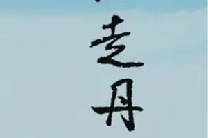 [2010][CCTV¼Ƭ][ĵͼ֮ߵ][3.4G][ٶ]