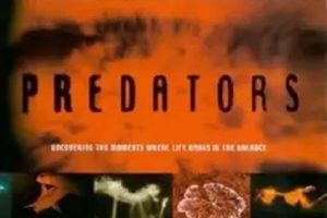 [2000][]Ӣ][ʳ_Predator][1.5G][ٶ]