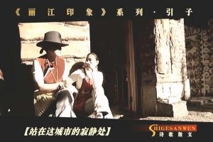 [1998-2002][CCTV3][ʫɢ][5][8.4G][ٶ]