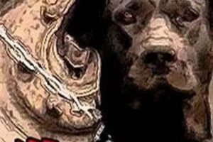 [2001][й½][][״][80M][ٶ]