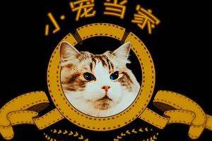 CCTV¼ƬС赱ҡ岿ϼ[TS/8.11GB]ٶ