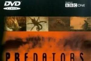 BBC¼Ƭʳߡȫ6ƵӢ[MP4/680.13MB]ٶ