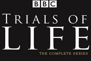 BBC¼Ƭ֮Դȫ12ƵӢ[MKV/28.40GB]ٶ