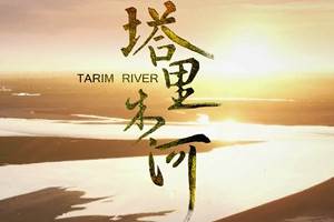 Ӽ¼Ƭľ/Tarim Riverȫ6Ƶϼ[TS/10.40GB]ٶ