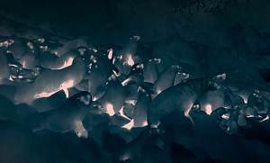 ¼Ƭ-ҹ(2020)HD1080PٷӢ˫ ȫ6