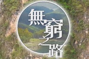 ¼Ƭ֮·ȫ12(2021)  HD1080P˫