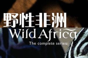 ¼ƬҰԷޡȫ6(BBCƷ)1080P/Ӣ/Ƶϼٶء