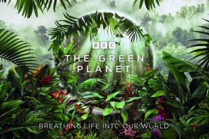 ¼Ƭɫ/The Green Planetȫ5(BBCƷ)4K/ԭӢ˫/Ƶϼٶء