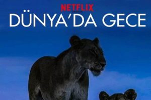 ¼ƬҹNetflixƷ(6)Ӣ/Ƶϼٶء