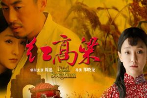 硶(2014)ȫ60(ִ֣)//Ƶϼٶ/ء