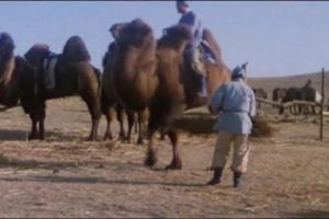 [1985][й½]ľġ[][1.20GB][ ٶ]