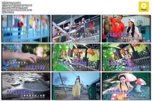 [DVDר][ˮ FOLLOW U OK Angeline Teoh 2022 CNY][DVD-ISO][2.66G][ٶ]