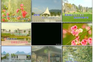 [DVDר][Ⱥ – װô(츳)][DVD_ISO][3.77G][ٶ]