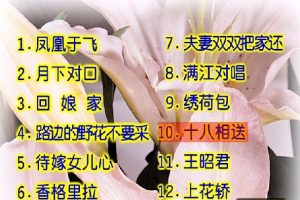 [DVDר][׿ – С][KTV][DVD-ISO][3G][ٶ]