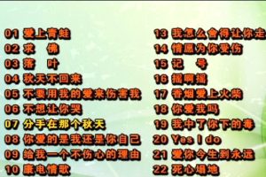 [DVDר][Ⱥ – 2007-2008][KTV][DVDISO][4.27G][ٶ]