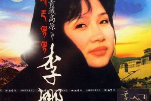 [DVDר][Ⱦѡ  2004 AUDIO][DVD ISO][2.40G][ٶ]