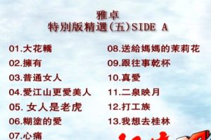 [DVDר][Ⱥ – ׿5][LDתDVD][KTV][2DVD-NRG][3.81G+4.03G][ٶ]