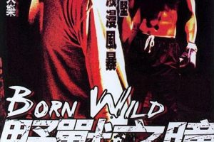 [2001][][Ұ֮ͫ][_][MKV][2.80GB][ٶ]