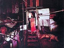 [2001][][и][][MKV][1.41GB][ٶ]