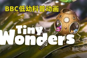 [Ӣﶯ]Tiny WondersС漣[ӢĻ][ȫ20][892M][ٶ]