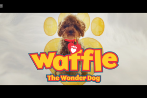 [Ӣﶯ]Waffle the Wonder Dog湷[ӢĻ][ȫ1-460][17GB][ٶ]