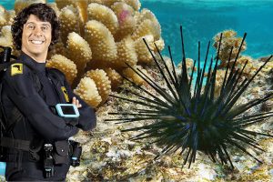 [Ӣﶯ]Andy’s Aquatic Adventuresϵĺ̽ա[ӢĻ][ȫ230][12.5GB][ٶ]