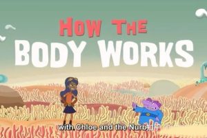 Ƭι How your body work[ͯ][Ӣİ18][367.33MB][ٶ]