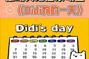 ƬDiDi dayDIDIһ졷[ͯ][Ӣİ31][869.68MB][ٶ]