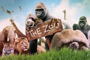 ƬThe Zoo ֶ԰[ͯ][Ӣİ30һ][8.34GB][ٶ]
