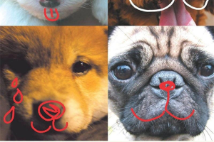 ͯӰ All About My Dog[ͯ][1/][1.52GB][ٶ]