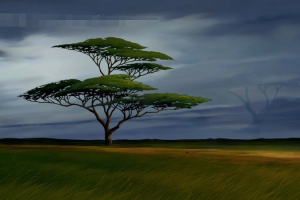 ͯӰʨ The Lion King[ͯ][Ӣ˫1][4.30GB][ٶ]
