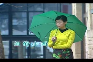 [1989][ڵ][-MV][ʱ-С][MPG][138MB][ٶ]