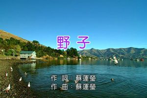 [2015][ڵ][-MV][Ө-Ұ][MPG][212MB][ٶ]