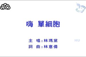 [2017][ڵ][-MV][- ϸ][MPG][190MB][ٶ]