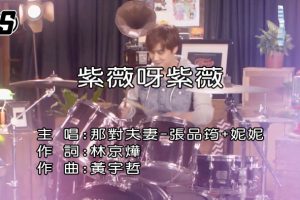 [2017][ڵ][-MV][ǶԷ-ޱѽޱ][MPG][339MB][ٶ]