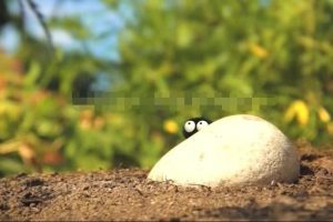 [Ȼٿ]С Minuscule[720P/MP3][ڶȫ98/޶԰][4.27G][ٶ]