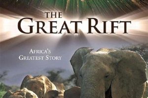 [Ȼٿ]Ǵѹ ķ The Great Rift: Africas Wild Heart[1080P/MP3][ȫ6/Ӣ][3.9G][ٶ]