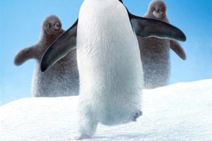 [Ȼٿ] Penguins[1080P/MP3][ȫ1/Ӣ˫][2.33G][ٶ]