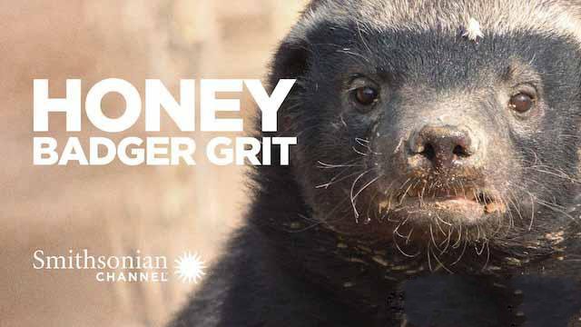 ¼Ƭս Grit:Honey Badger Tough[1080][ȫ1][ٶ]