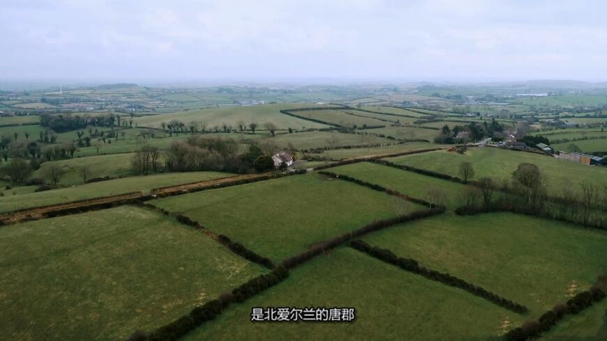 ¼Ƭũ/ũ This Farming Life[1080P][12 Ӣ][ٶ]
