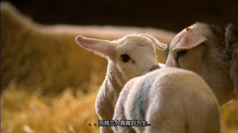 ¼Ƭũ/ũ This Farming Life[1080P][һ12 Ӣ][ٶ]
